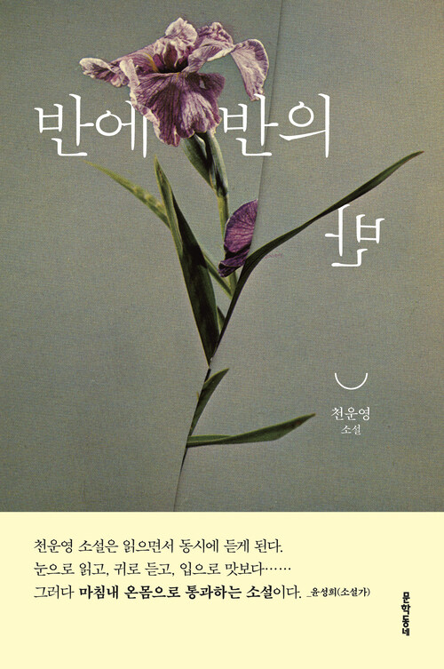 반에 반의 반