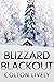 Blizzard Blackout: A Small ...