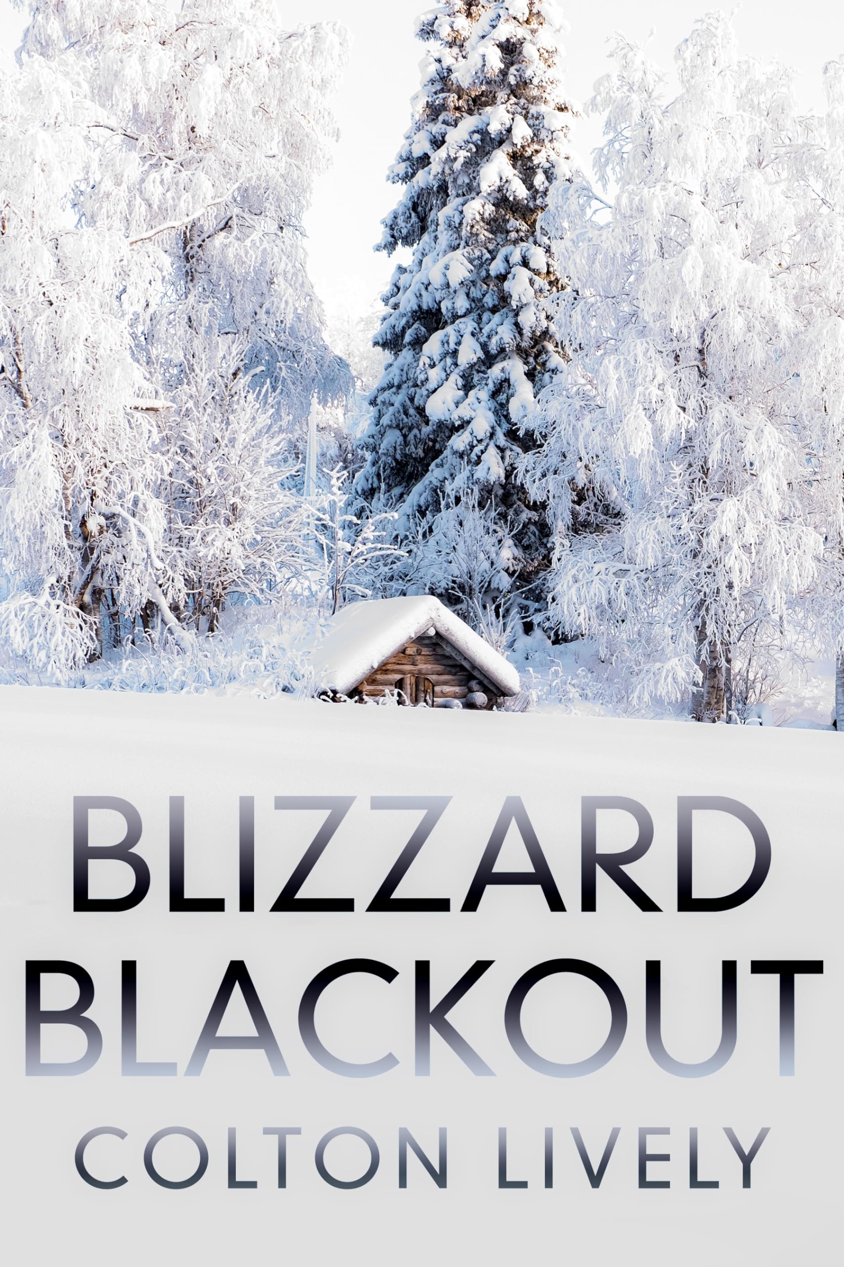 Blizzard Blackout: A Small Town Post Apocalypse EMP Thriller (EMP Survival in a Powerless World Book 62)