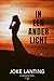 In een ander licht by Joke Lanting