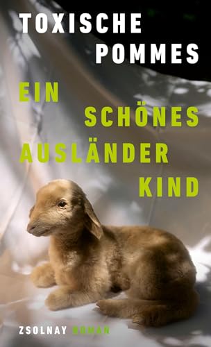 Ein schönes Ausländerkind (Kindle Edition)