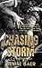 Chasing Storm by Denise Baer Chasing Storm by Denise Baer