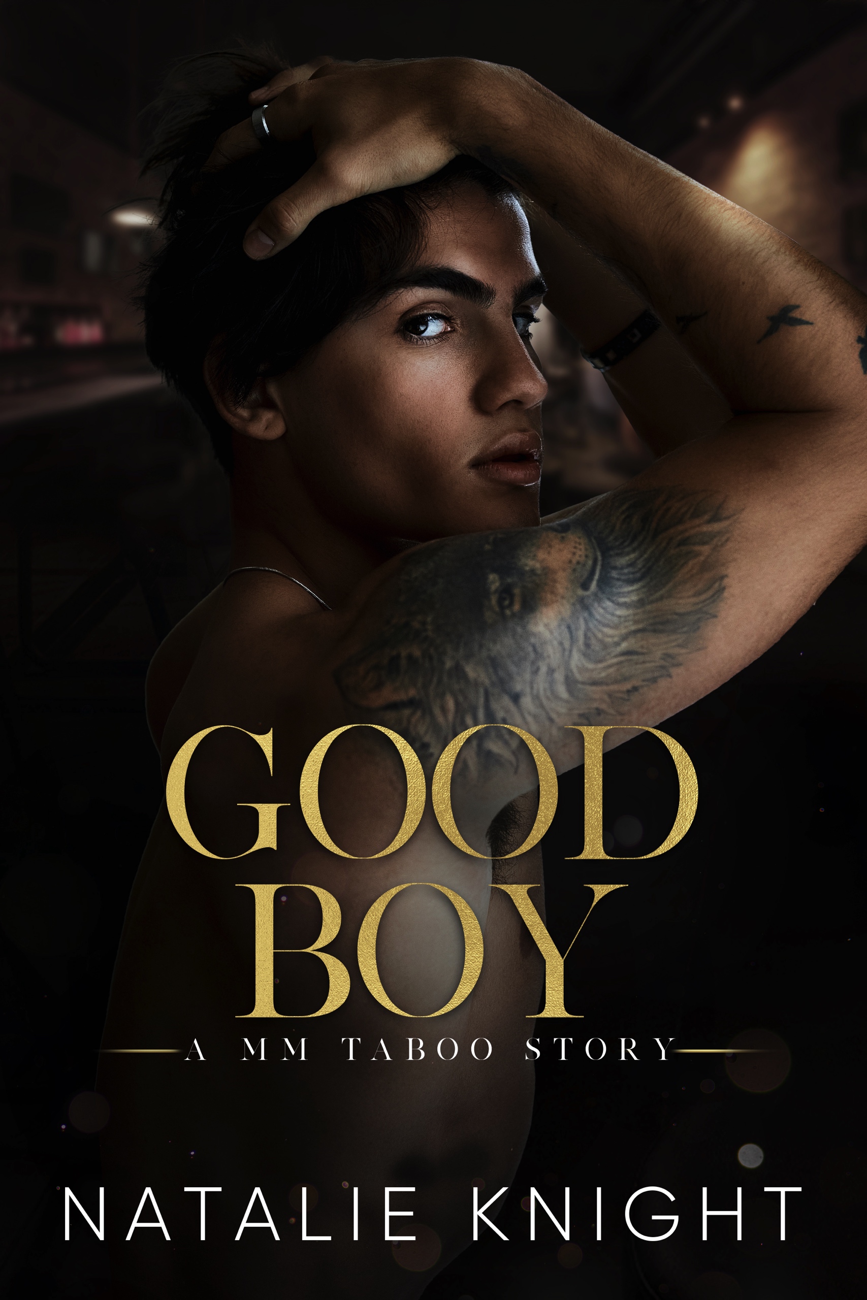 Good Boy: A MM Taboo Story (ebook)