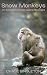 Snow Monkeys: An Ancient Bo...