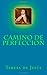 Camino de perfeccion (Spanish Edition)