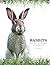 Rabbits: From Hares and Jackrabbits to Adorable Pets