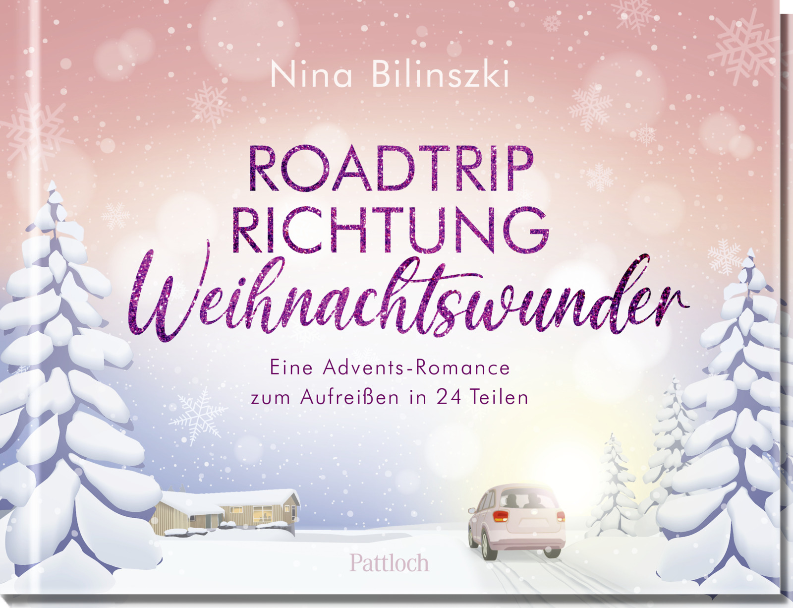 Roadtrip Richtung Weihnachtswunder (Hardcover)