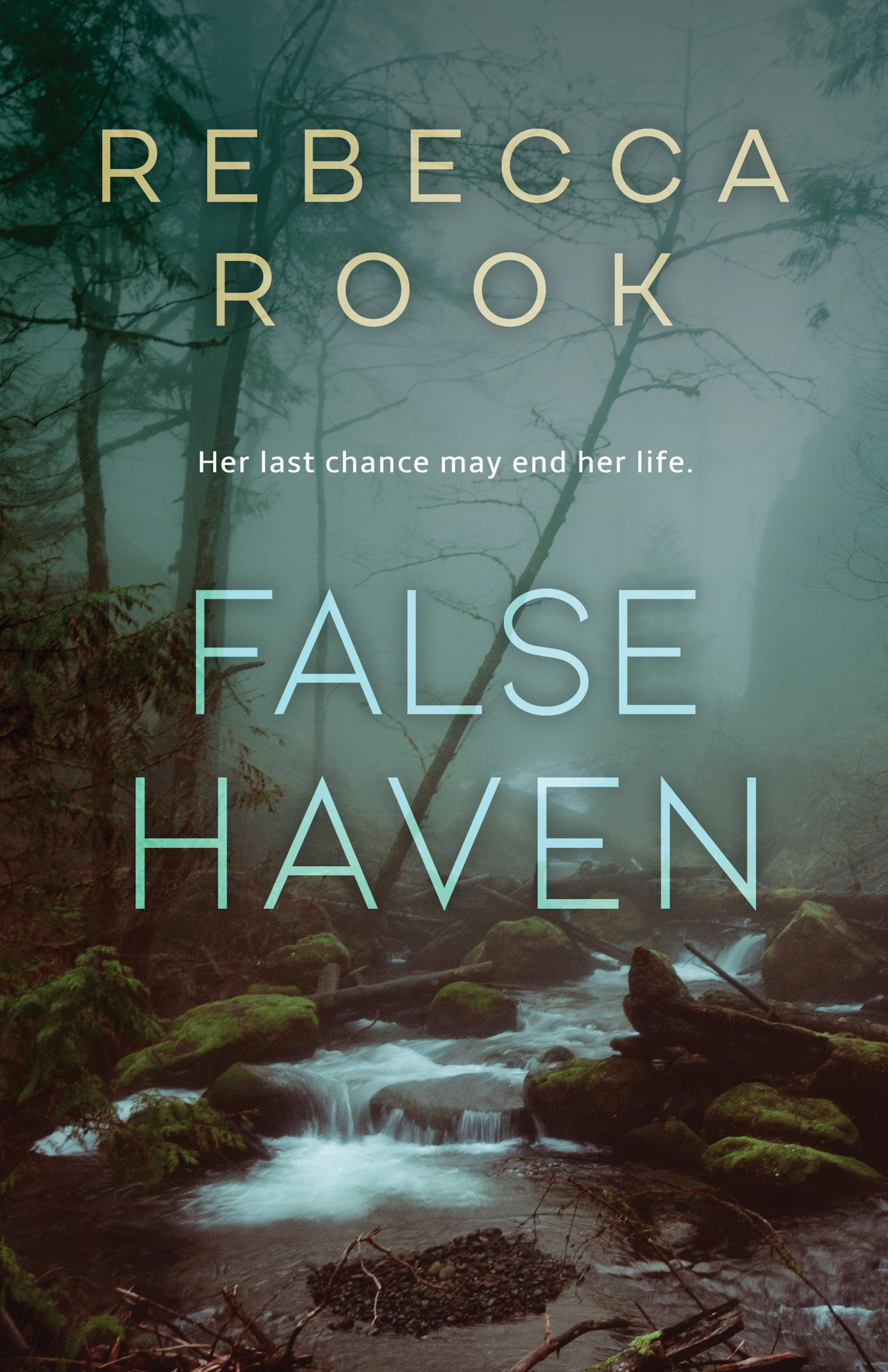 False Haven (Kindle Edition)