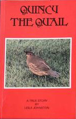 Quincy the Quail