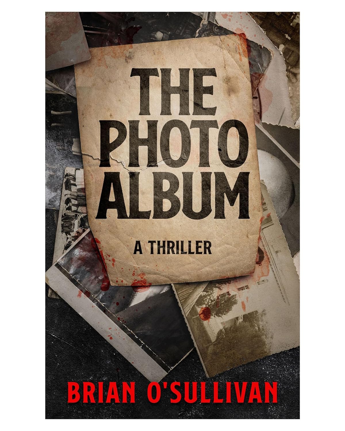 The Photo Album (Bobby McGowan #1)