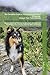The Complete Guide to Training Your Shetland Sheepdog: Unleash Their Full Potential: Master the Art of Training, Socialization, and Behavior Modification for a Happy and Well-Behaved Sheltie