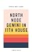 North Node Gemini in 11th H...