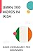 Learn 300 words in Irish by lingoXpress