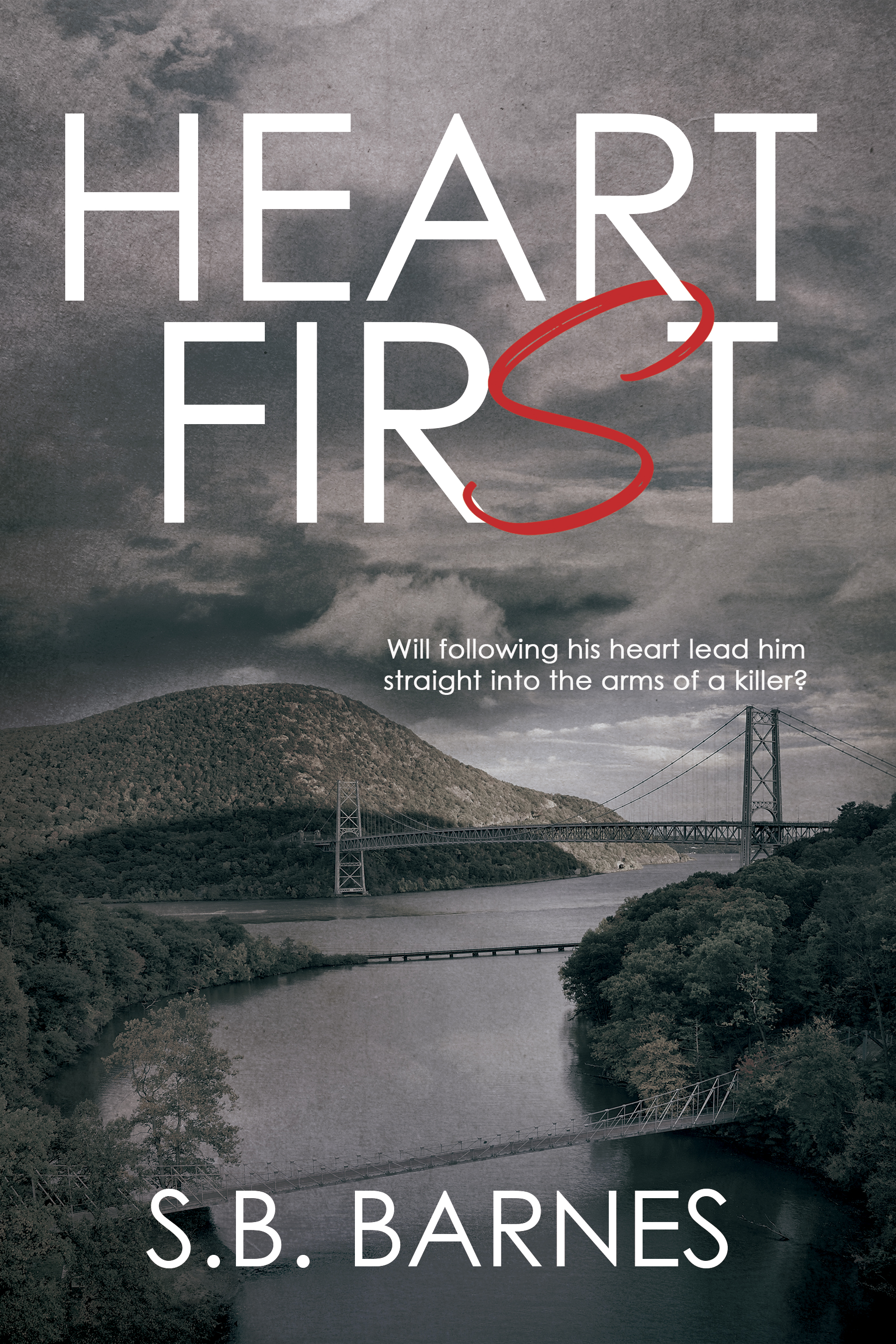 Heart First (Hudson Valley Murder Mysteries, #1)
