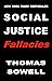 Social Justice Fallacies