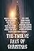 The 12 Days of Christmas by Megan Stockton