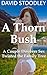 A Thorn Bush by David Stoodley