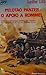 Pelotão Panzer: O Apoio a Rommel (Guerra & Espionagem #2)