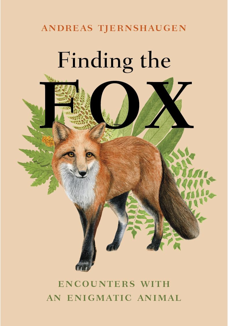 Finding the Fox: Encounters With an Enigmatic Animal (Hardcover)