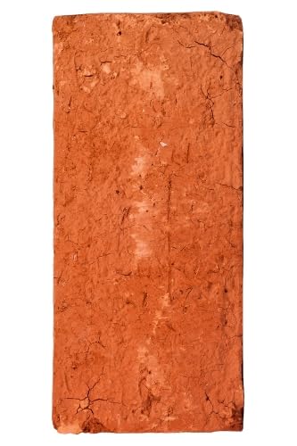 Leaving The Twentieth Century: Situationist Revolutions (Paperback)