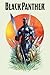 Black Panther by Christophe...