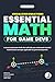 Visualizing Equations - Ess...