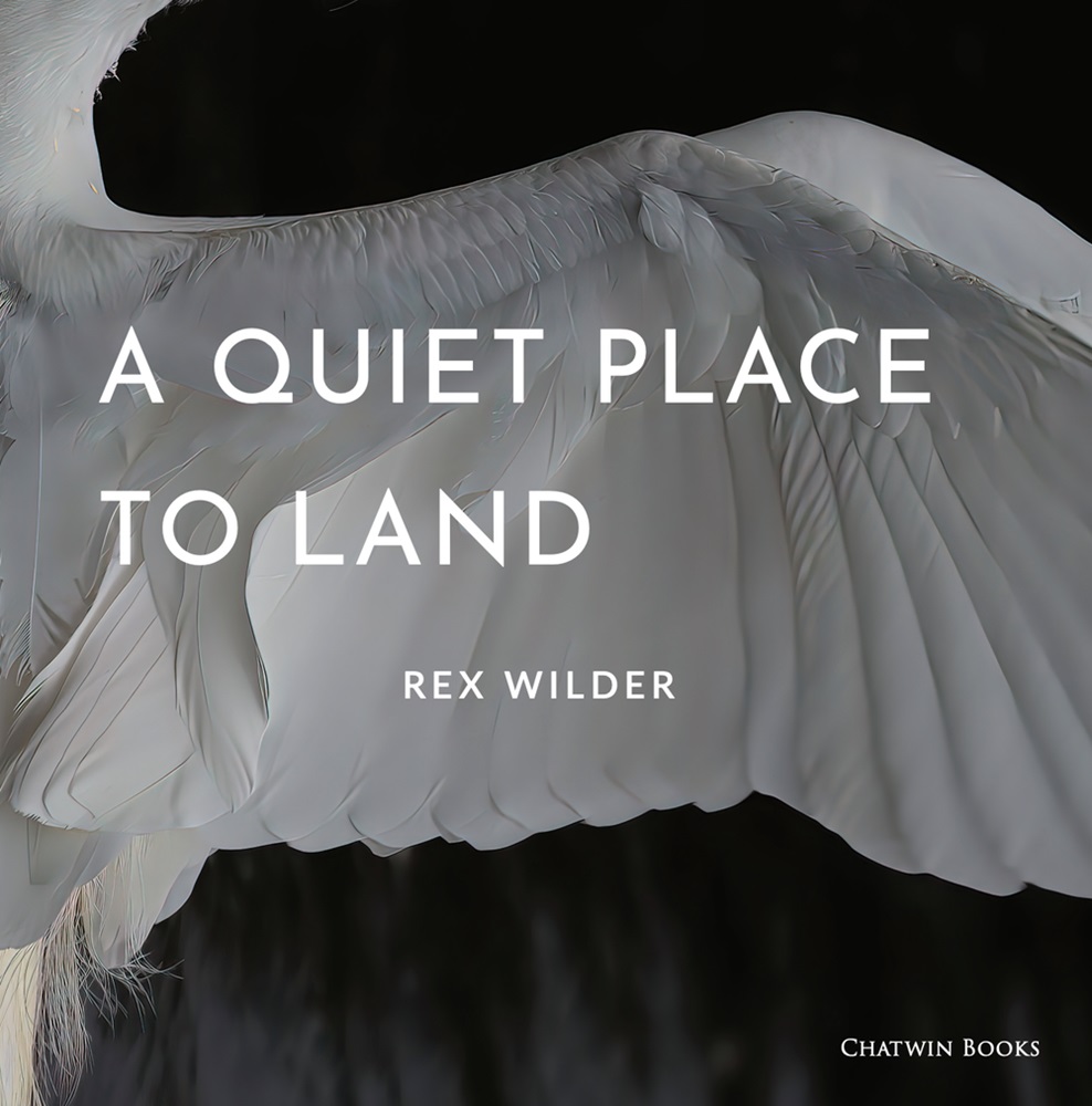 A Quiet Place to Land