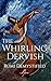 The Whirling Dervish by Avi Raa