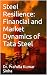 Steel Resilience: Financial...