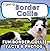 I am a Border Collie: A Chi...