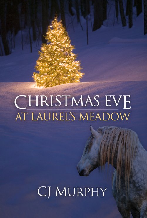 Christmas Eve at Laurel’s Meadow (Frame by Frame, #1.5)