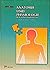 Anatomie und Physiologie. F...