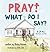 Pray! What Do I Say?: A 21 ...
