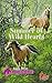 Summer of Wild Hearts (Whinnies on the Wind, #3)