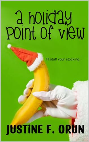 A Holiday Point of View (Kindle Edition)