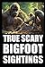True Scary Bigfoot Sighting...