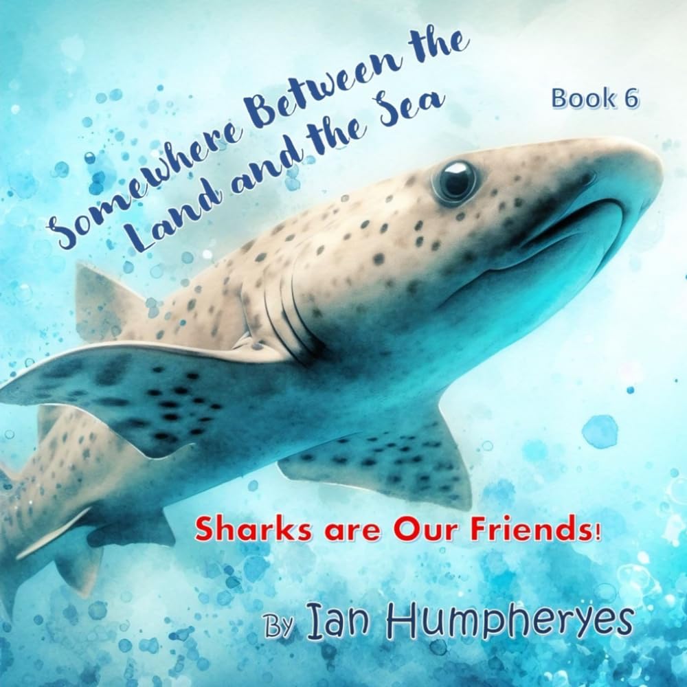 Sharks are Our Friends (Somewhere between the land and sea)