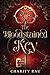 The Bloodstained Key (Anderi Adventures, #0)