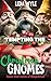 Tempting the Christmas Gnomes
