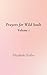 Prayers For Wild Souls: Vol...