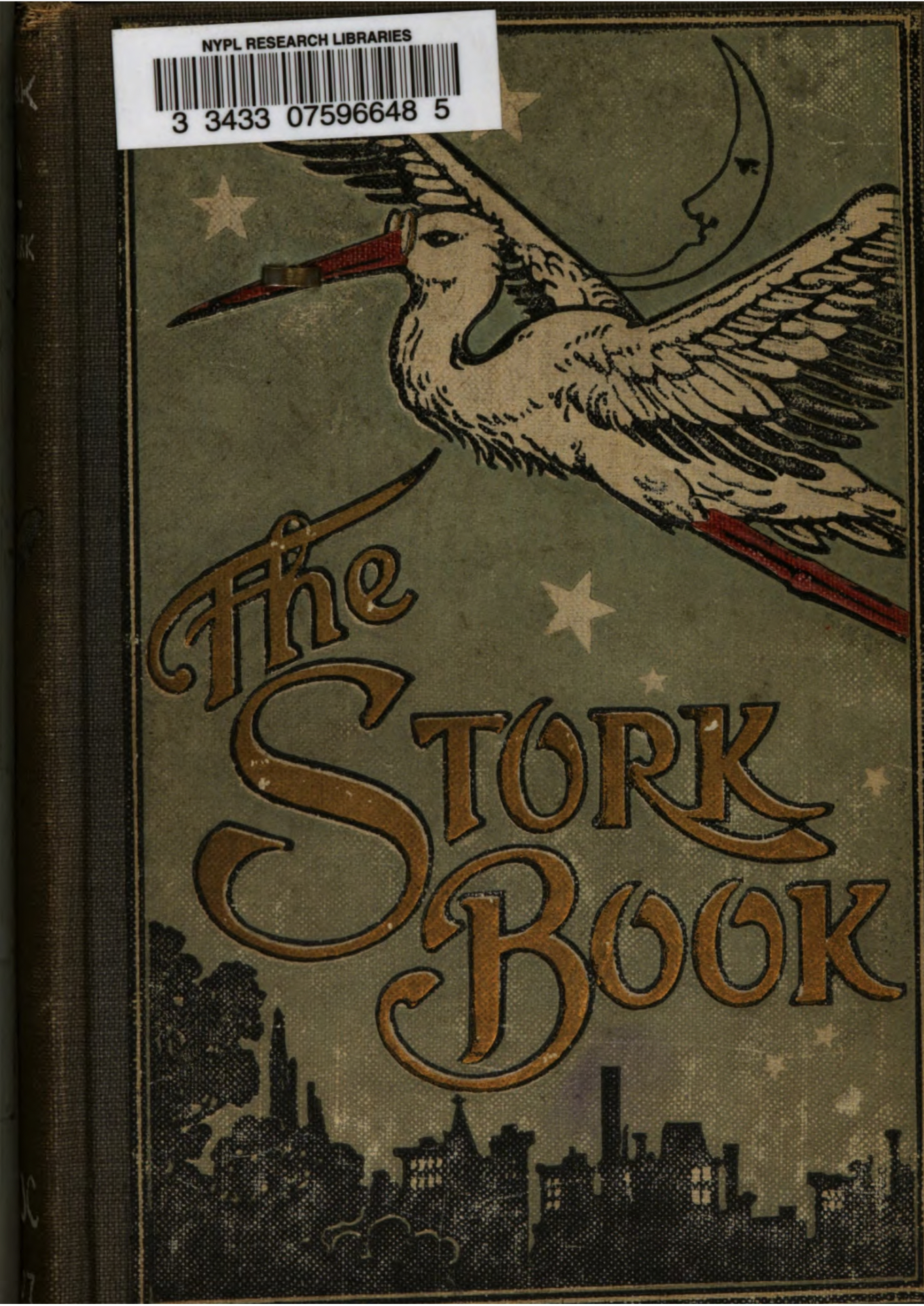The Stork Book (Hardcover)