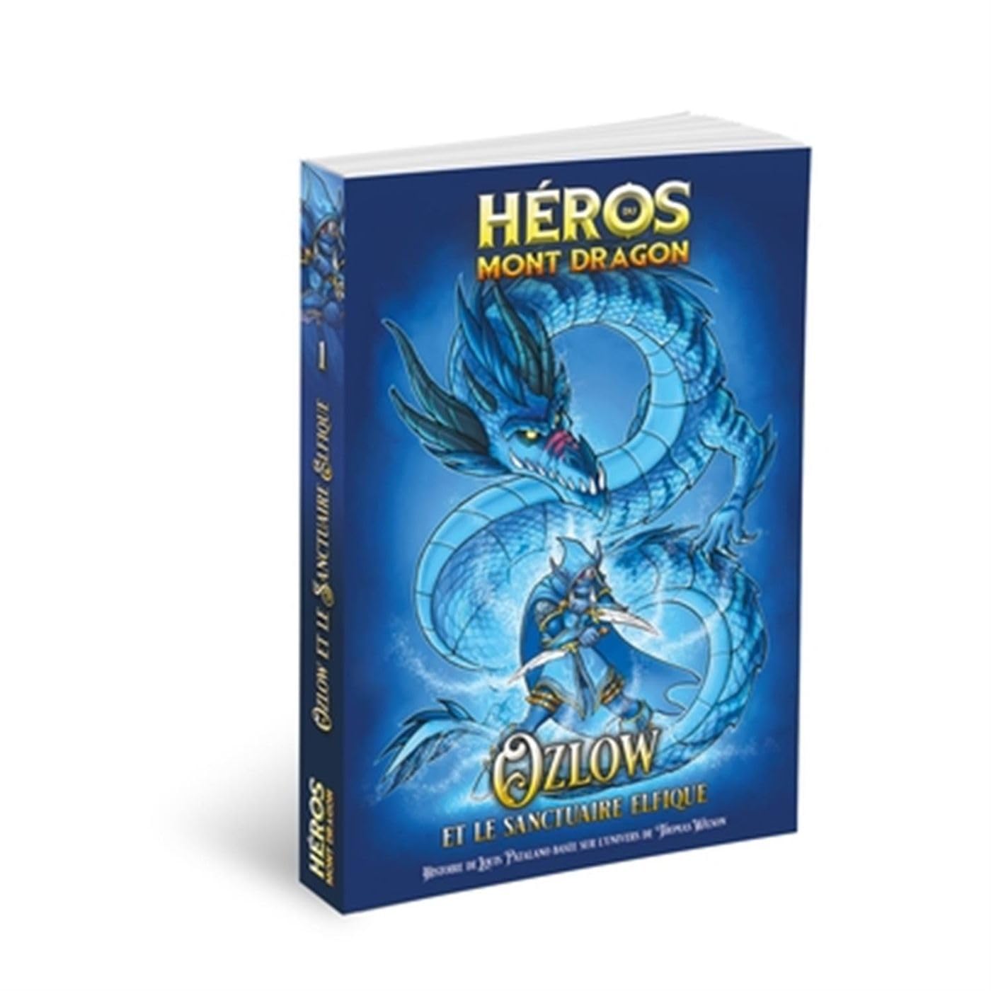 Ozlow et le Sanctuaire Elfique (Héros du Mont Dragon, #1)