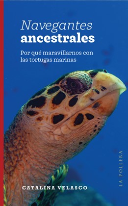 Navegantes ancestrales. Por qué maravillarnos con las tortugas marinas (Paperback)