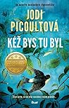 Kéž bys tu byl by Jodi Picoult