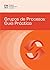 Process Groups: A Practice Guide (SPANISH) (Spanish Edition)