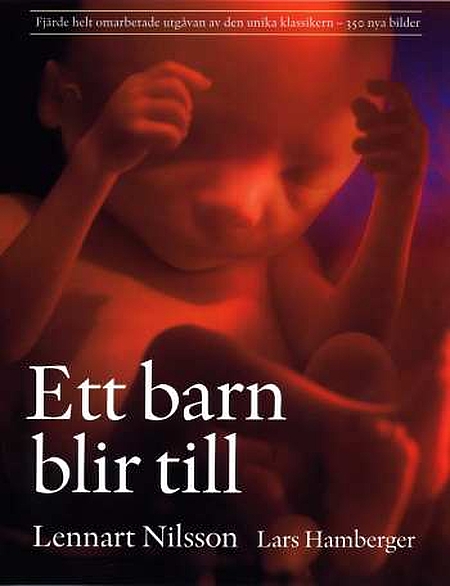 Ett barn blir till