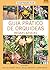 GUIA PRÁTICO DE ORQUÍDEAS 1 - REGRAS BÁSICAS by Editora Europa
