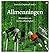 Allmenningen by Jostein Gripsrud