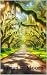 Homecoming: The Journey Hom...