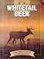 White-Tailed Deer